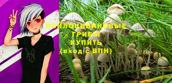 альфа пвп Армянск