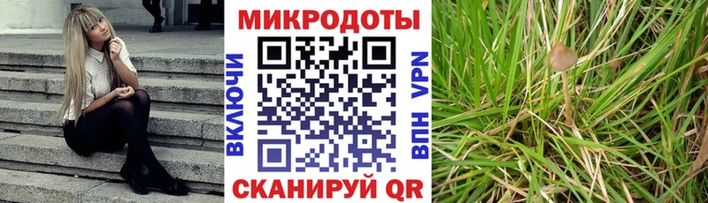 Псилоцибиновые грибы GOLDEN TEACHER Тимашёвск