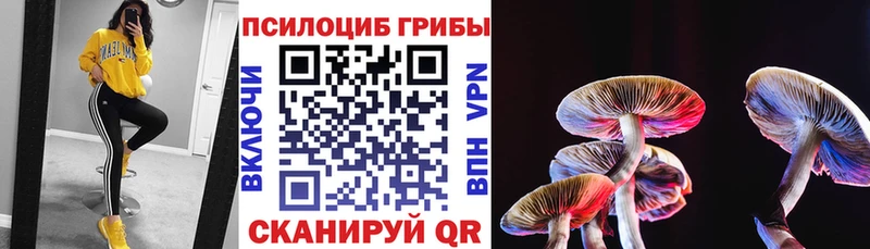 Псилоцибиновые грибы MAGIC MUSHROOMS  Тимашёвск 